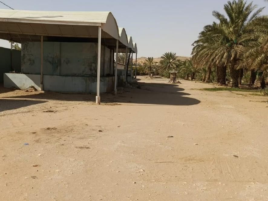 اعلان تسويقي