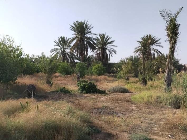 اعلان تسويقي