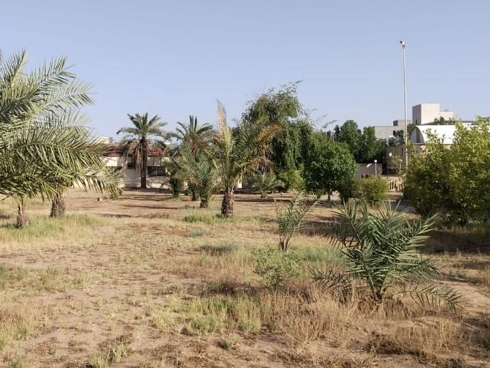 اعلان تسويقي